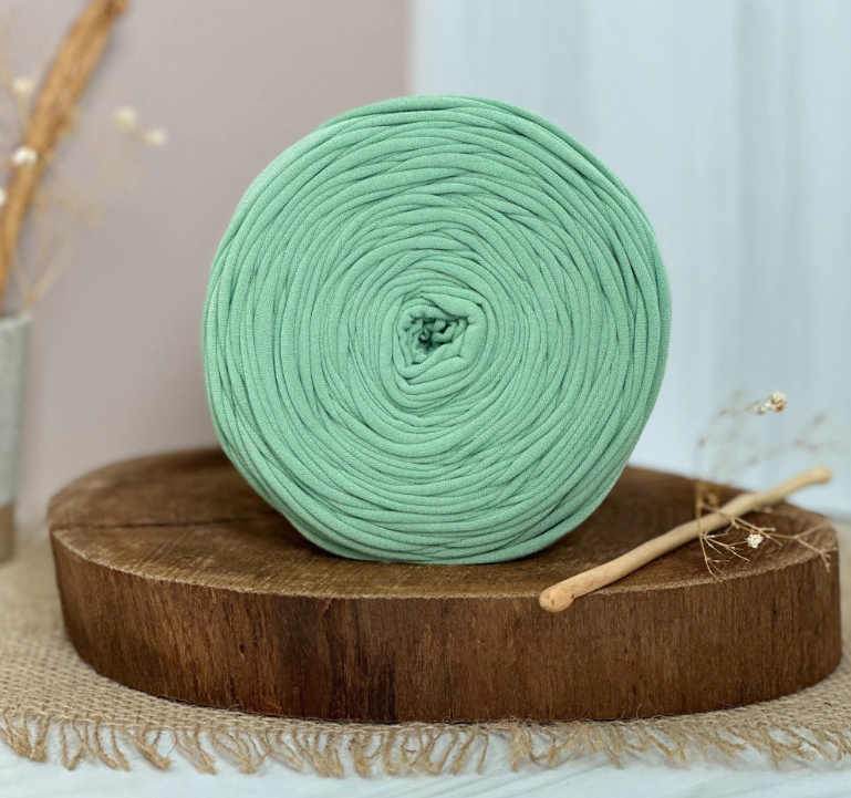 Amorino Fios Premium T-Shirt Yarn - Mint Green
