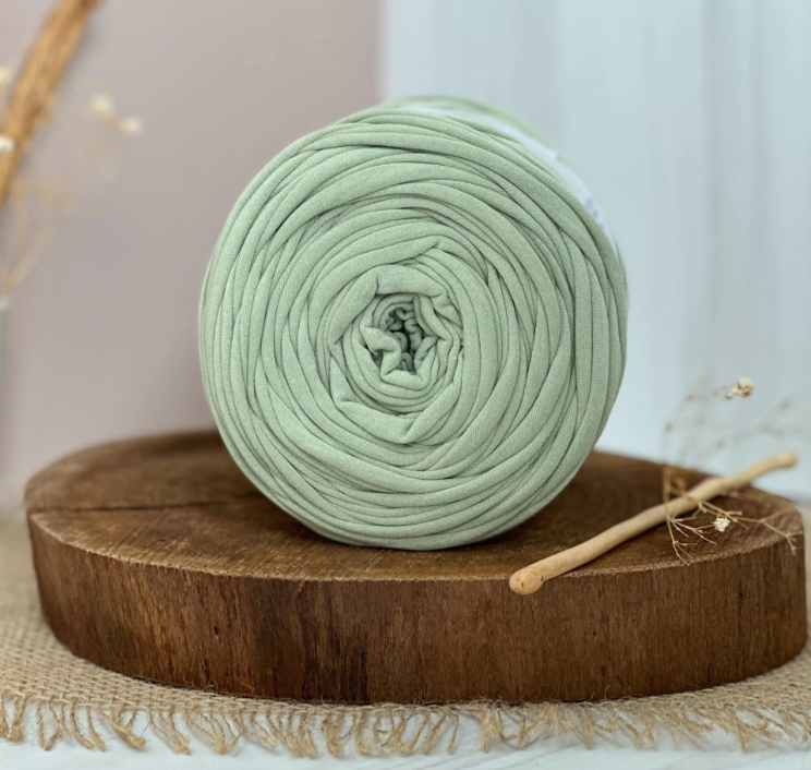 Amorino Fios Premium T-Shirt Yarn - Green Apple