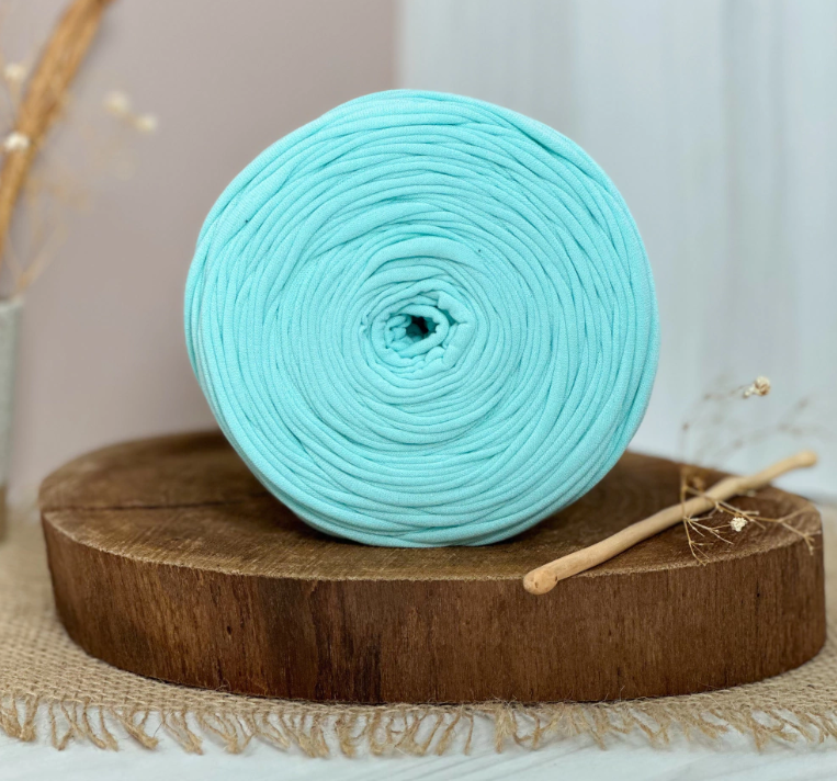 Amorino Fios Premium T-Shirt Yarn - Baby Green