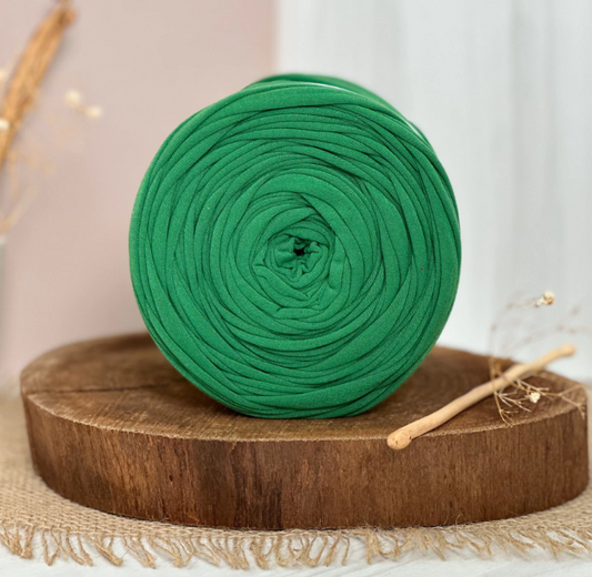 Amorino Fios Premium T-Shirt Yarn - Flag Green