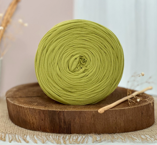 Amorino Fios Premium T-Shirt Yarn - Pistachio